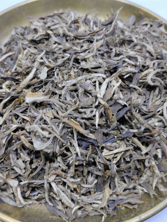 yellow guang dong.jpg