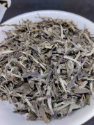 yellow guang dong-kopia.jpg