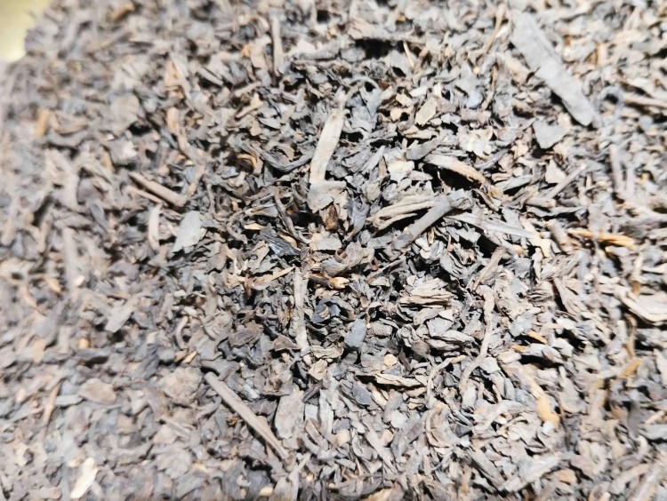 pu-erh 4.jpeg