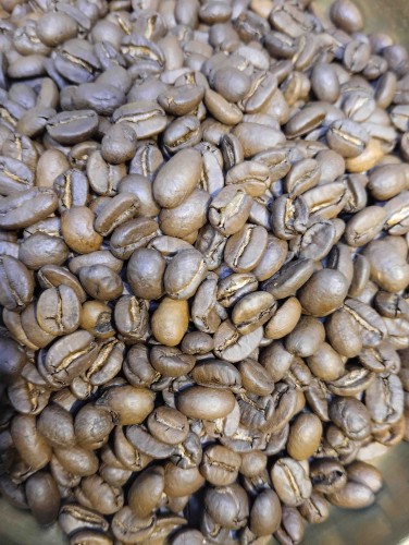 honduras ziarnista.jpeg