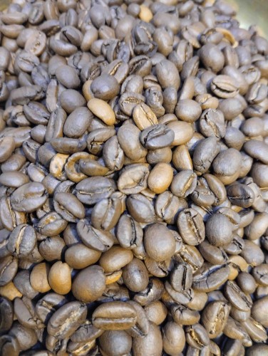 etiopia ziarnista.jpeg