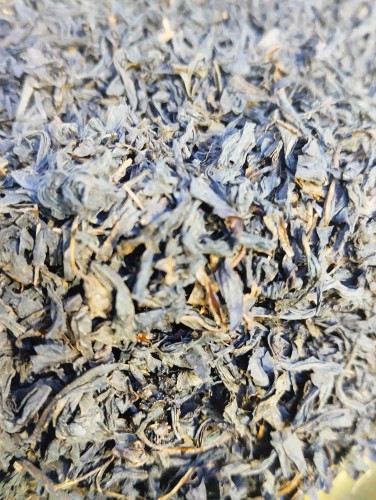 earl grey 5.jpeg