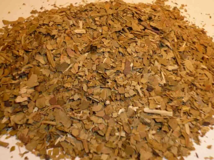 yerba mate czysta (1024x768).jpeg