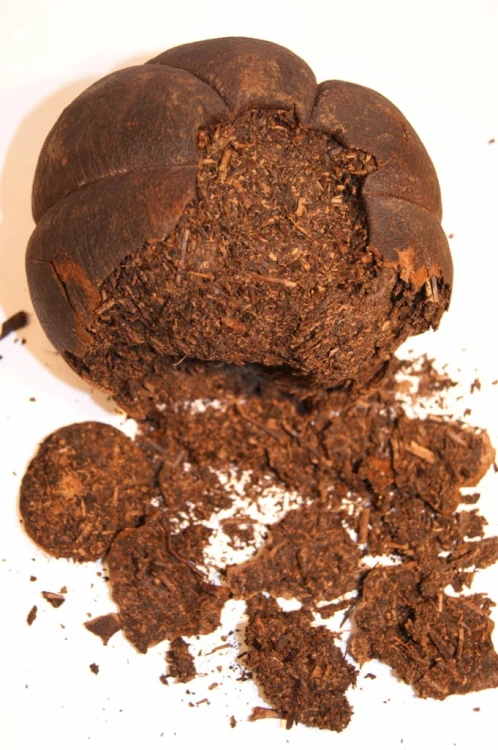 pu-erh w grap (681x1024).jpg