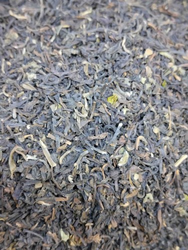 nilgiri.jpeg