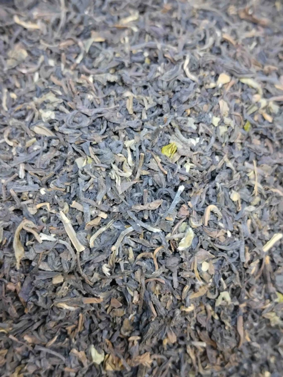 nilgiri.jpeg